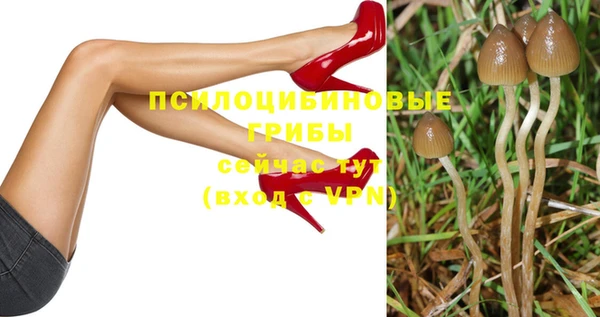 кокаин Бородино